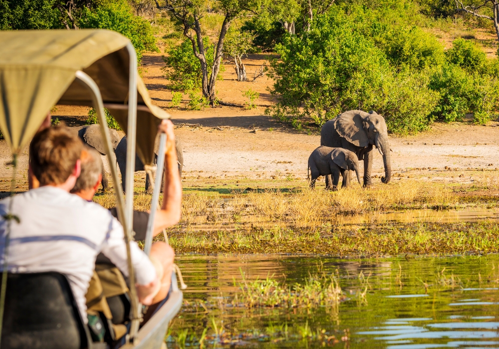 quanto custa safari tanzania