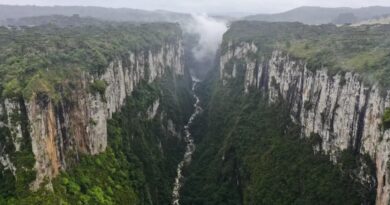 Trilhas Imperdíveis no Parque Nacional de Aparados da Serra