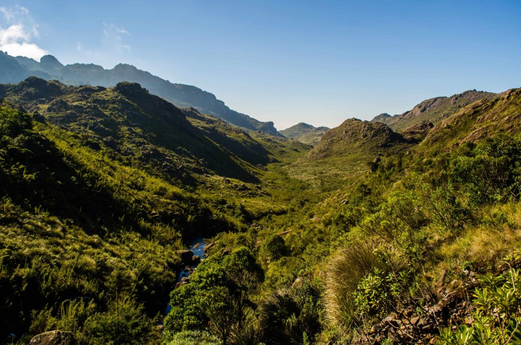 Um Passeio pelo Parque Nacional Itatiaia